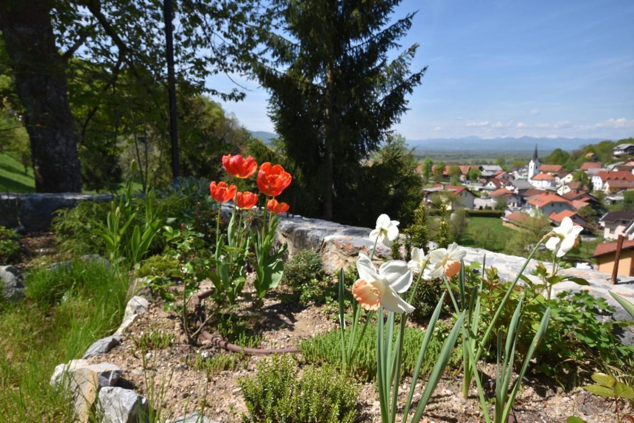 Apartmaji Lejardin Apartment Skofljica Exterior photo